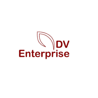 2012-dv-enterprise-logo