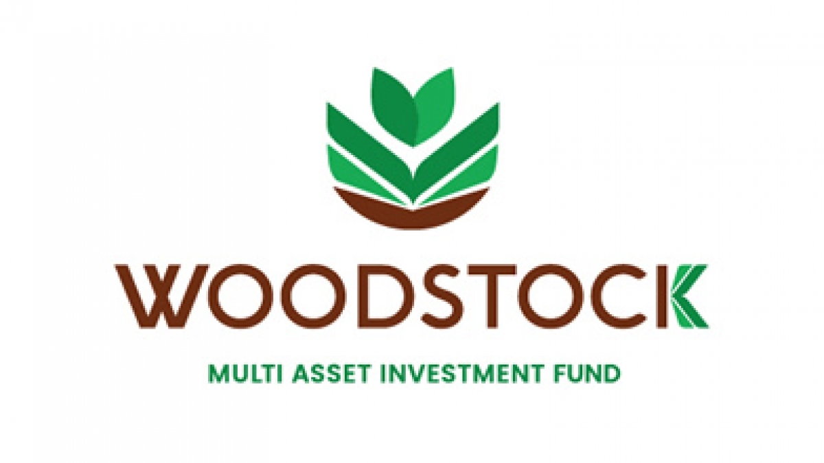 2019-woodstock-logo