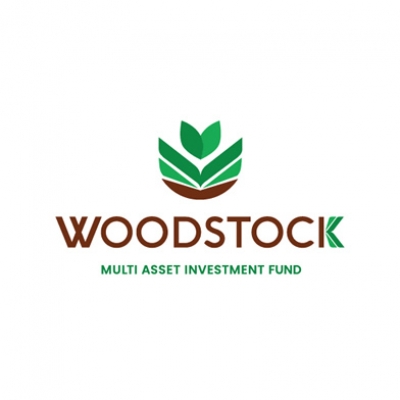 2019-woodstock-logo